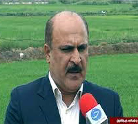 گفتگوی دکتر عرفانی با تلویزیون در رابطه با برنج تیسا