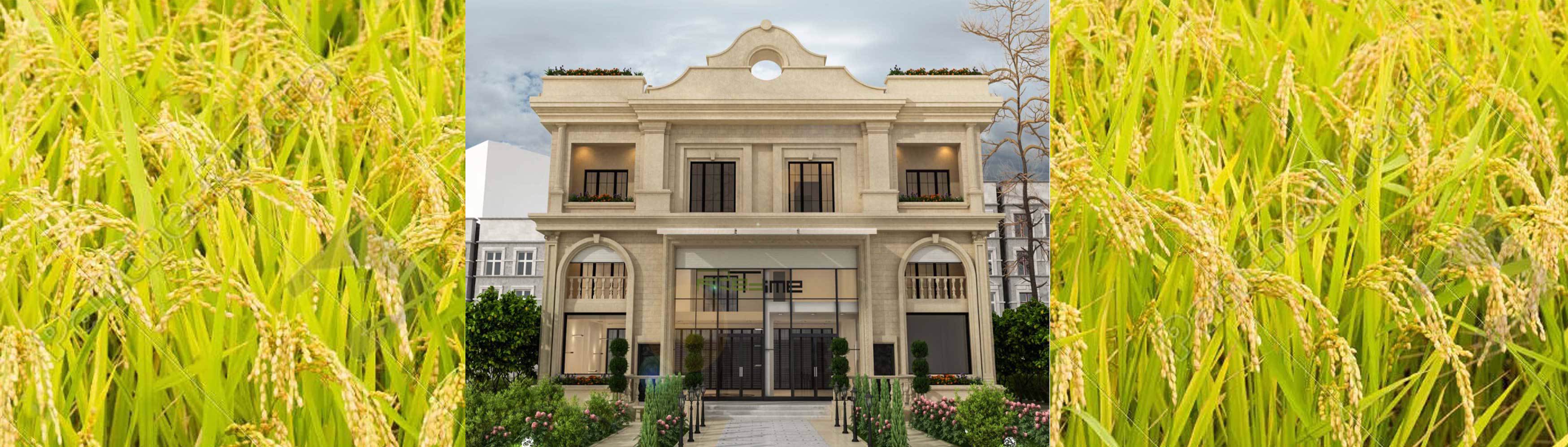 مجتمع صنایع غذایی بادوک طلایی